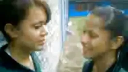 2 الكلبة الدومينيكية الصغيرة تعيش مجانًا